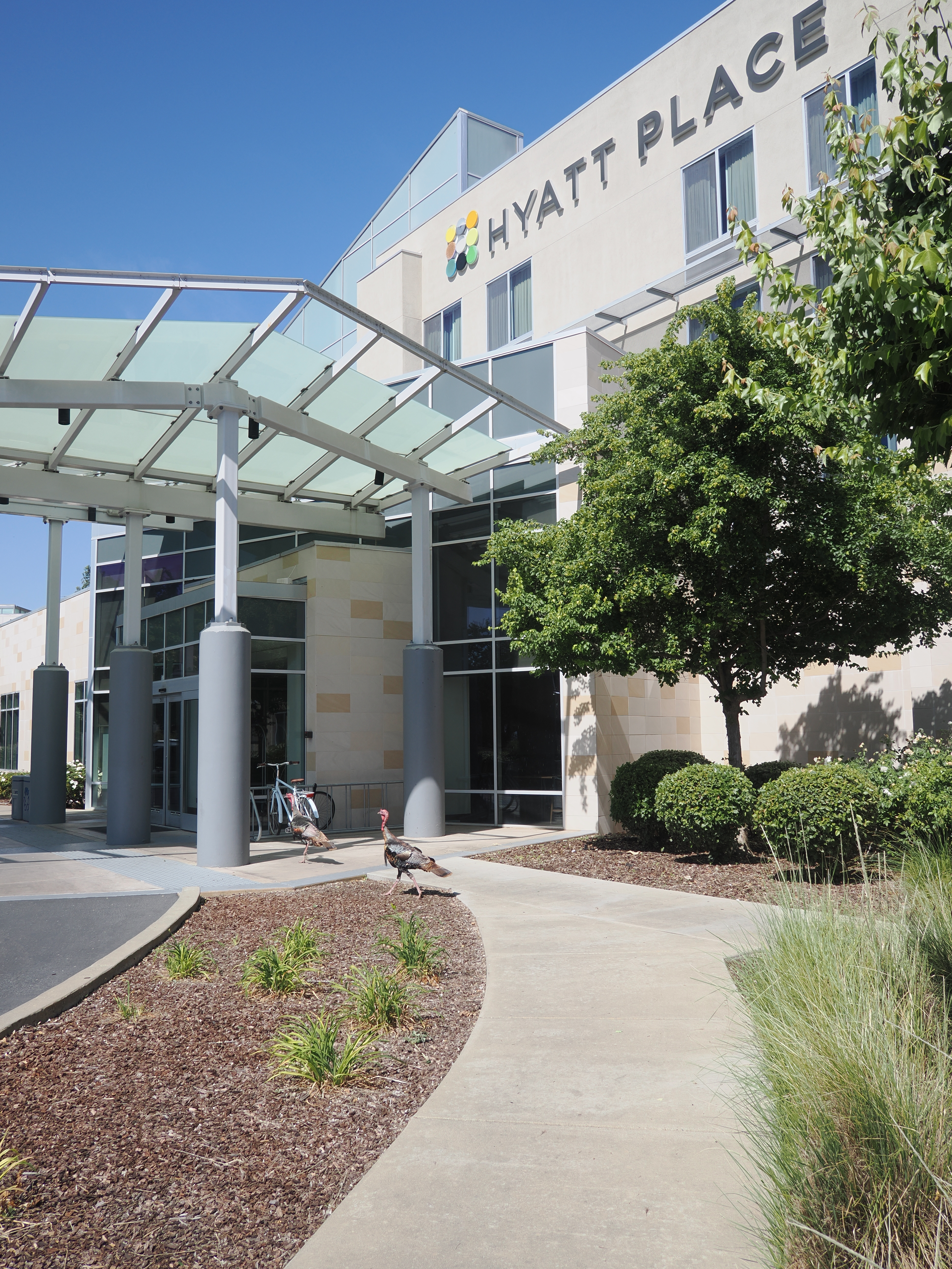 UC Davis Hyatt